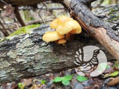 �������������� �������_2024: ������ - ����� ����������