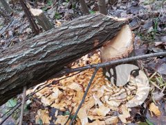 �������������� �������_2024: ������ - ����� ����������