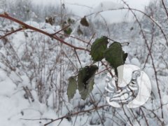 �������������� �������_2024: ������ - ����� ����������
