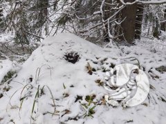 �������������� �������_2024: ������ - ����� ����������