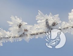 ���������� �����������: ��� ������� ������ ��� ����� � �����