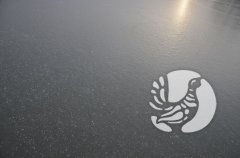 ���������� �����������: ��� ������� ������ ��� ����� � �����
