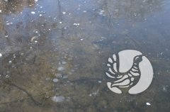 ���������� �����������: ��� ������� ������ ��� ����� � �����