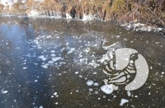���������� �����������: ��� ������� ������ ��� ����� � �����