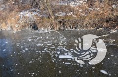 ���������� �����������: ��� ������� ������ ��� ����� � �����