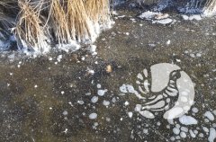 ���������� �����������: ��� ������� ������ ��� ����� � �����