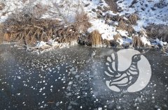 ���������� �����������: ��� ������� ������ ��� ����� � �����