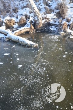 ���������� �����������: ��� ������� ������ ��� ����� � �����