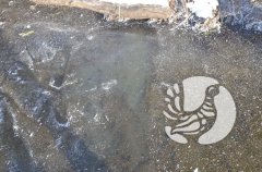 ���������� �����������: ��� ������� ������ ��� ����� � �����