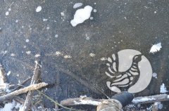 ���������� �����������: ��� ������� ������ ��� ����� � �����